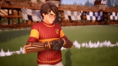 Harry Potter: Quidditch Champions